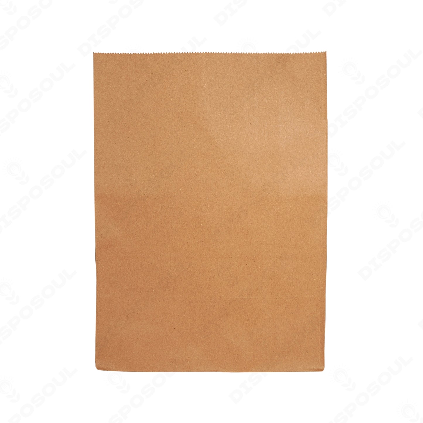Disposoul Paper Dodgy Bag Large