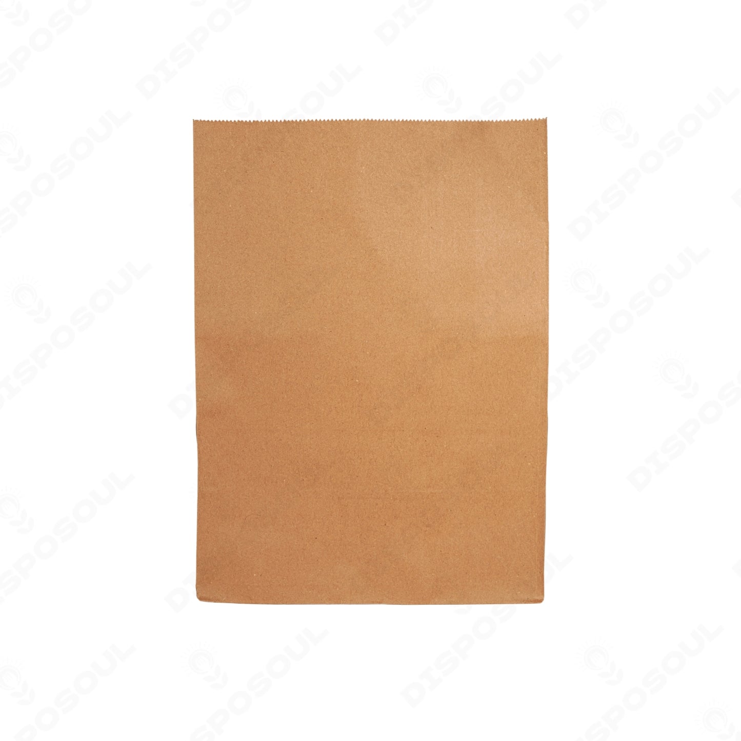 Disposoul Paper Dodgy Bag Medium