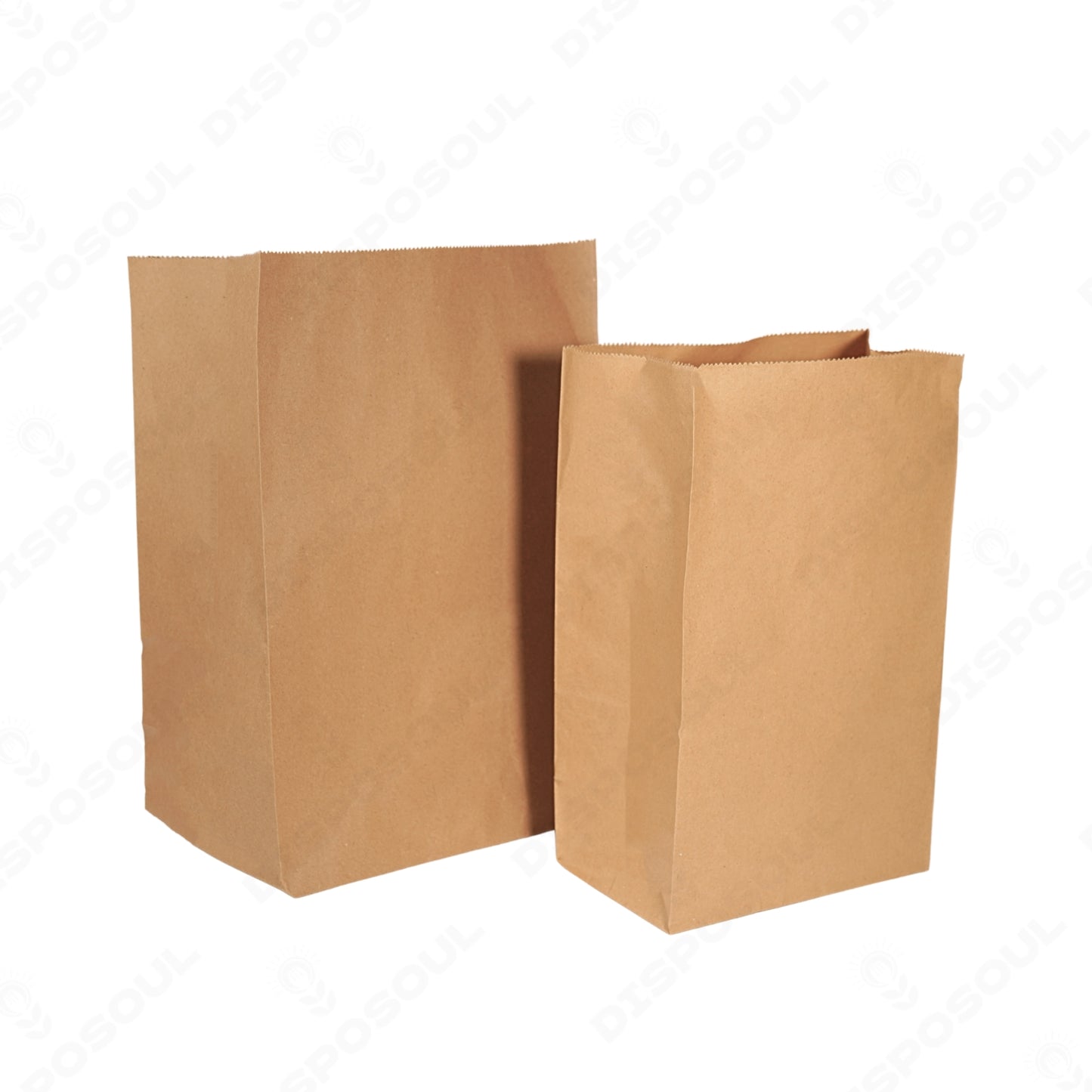 Disposoul Paper Dodgy Bag Medium