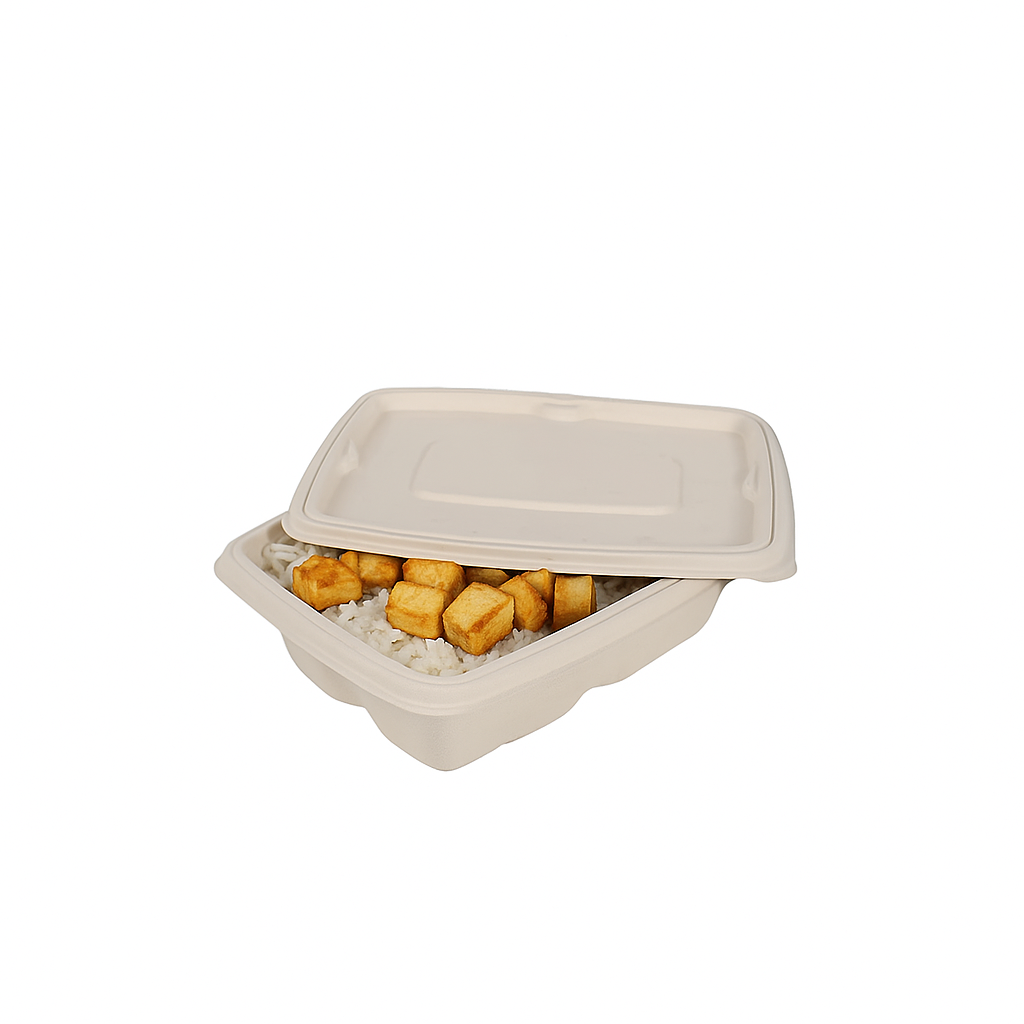Disposoul Biodegradable Bagasse Rectangular Takeaway Container With LID 650Ml
