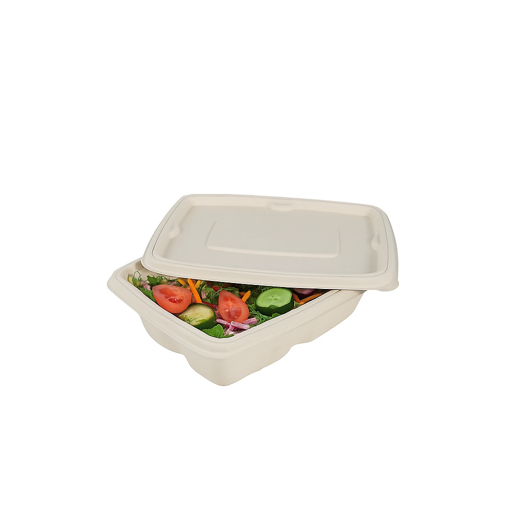 Disposoul Biodegradable Bagasse Takeaway Rectangular Container With LID 750Ml