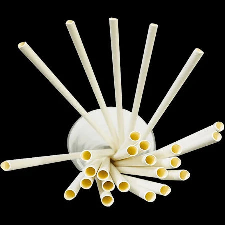 Disposoul Disposable 6mm Paper Straw