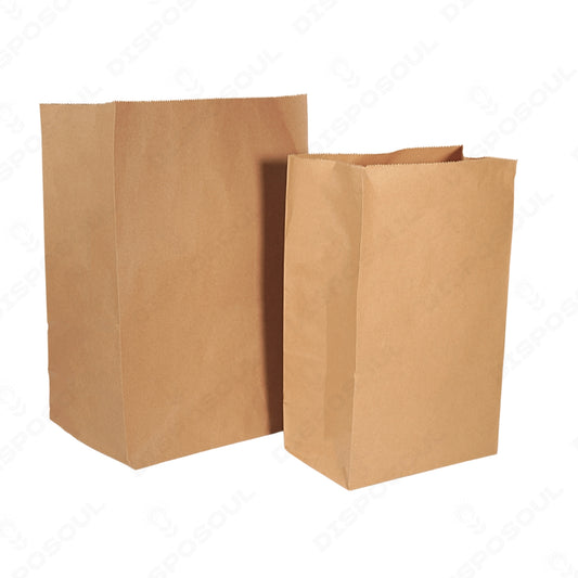 Disposoul Paper Dodgy Bag Large