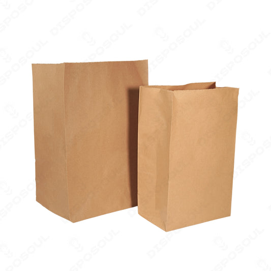 Disposoul Paper Dodgy Bag Medium