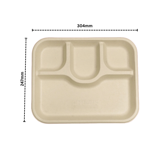 Disposoul Biodegradable Bagasse Disposable 4 CP Plate