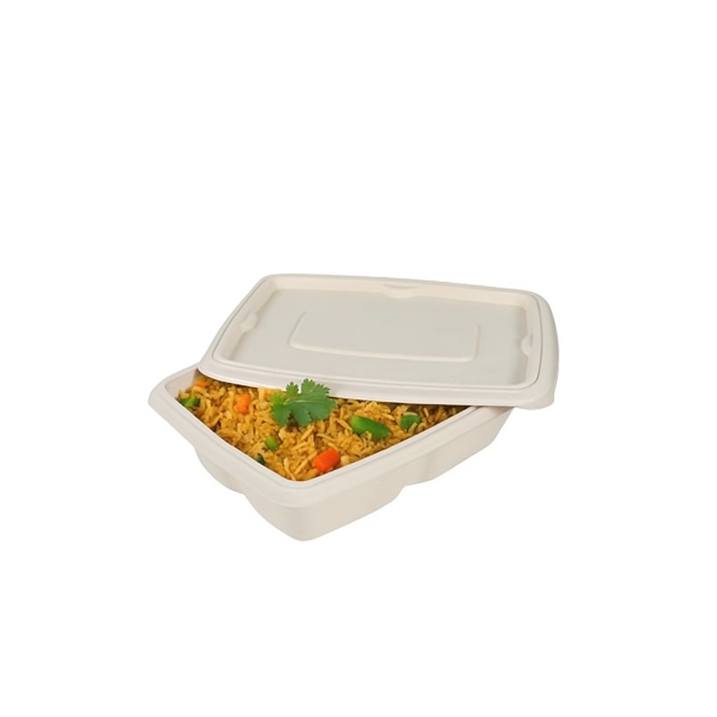 Disposoul Biodegradable Bagasse Takeaway Rectangular Container With LID 500Ml